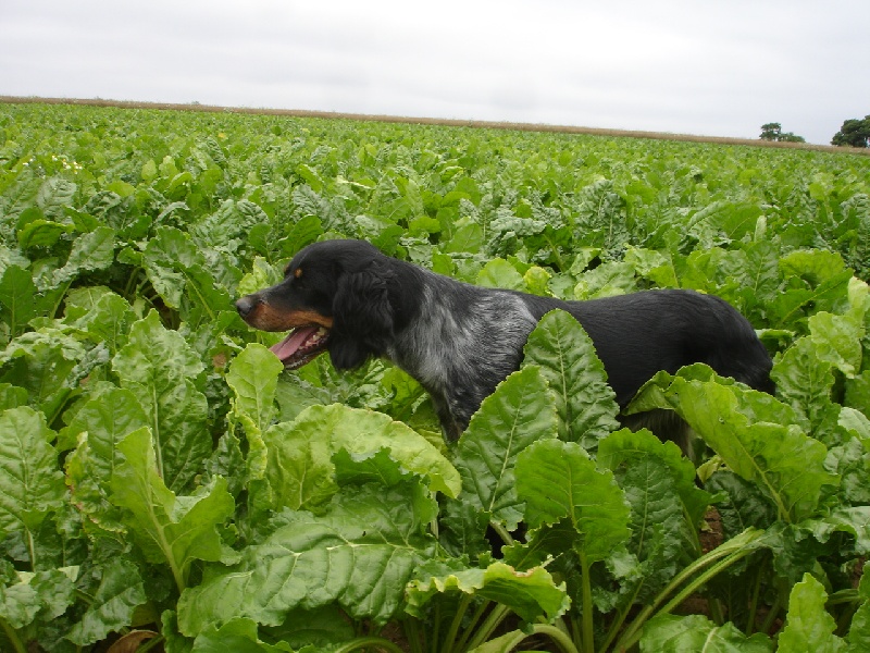 CONNIE EN PLEINE ACTION